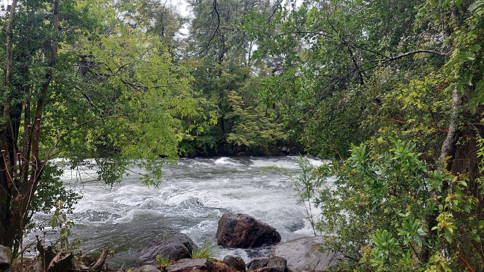 Rio chileno en naturaleza pristina