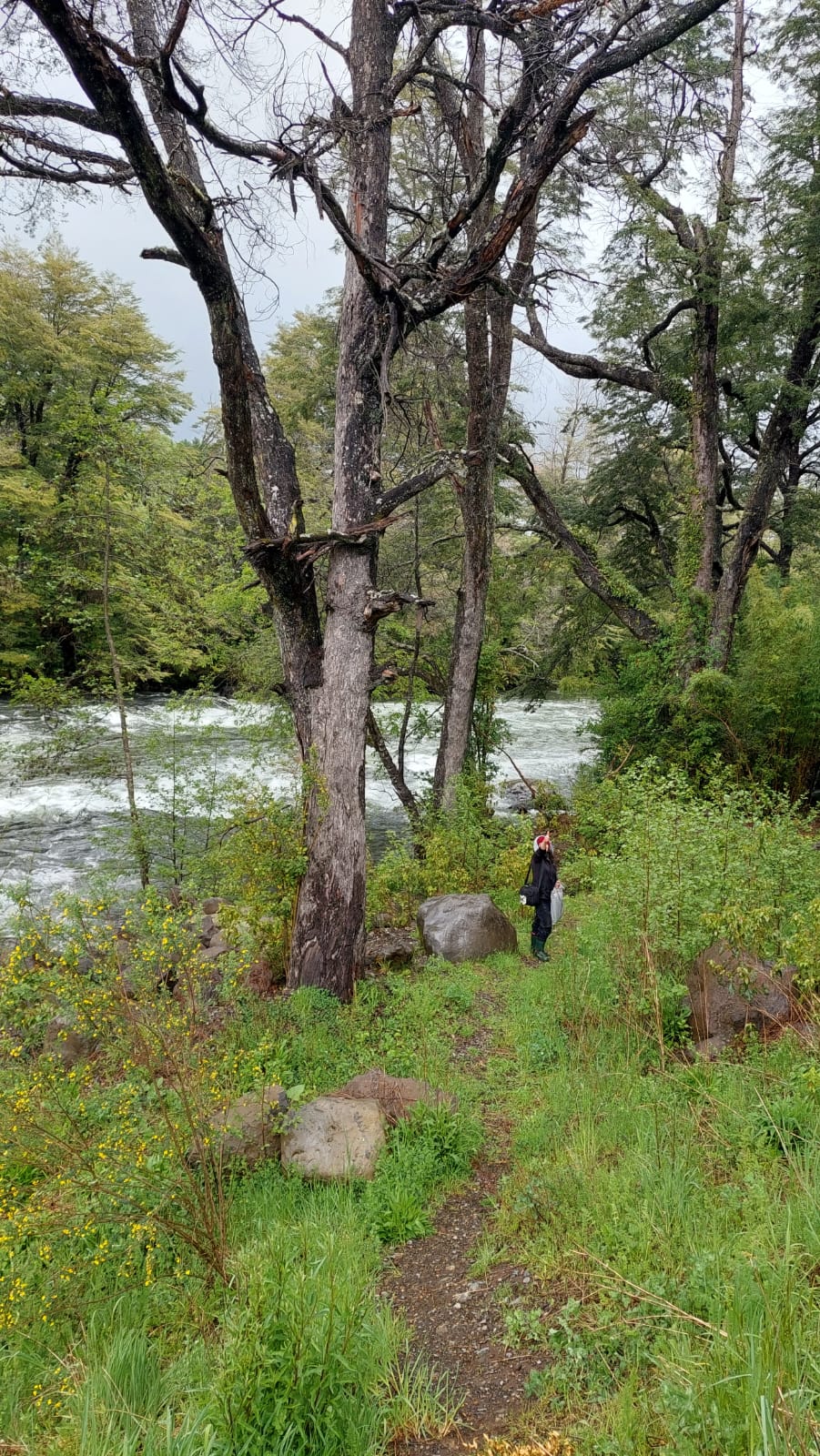 Entorno natural asociado al enfoque ambiental de LIFKO