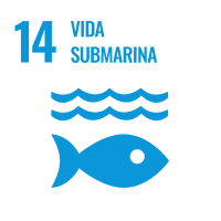 ODS 14